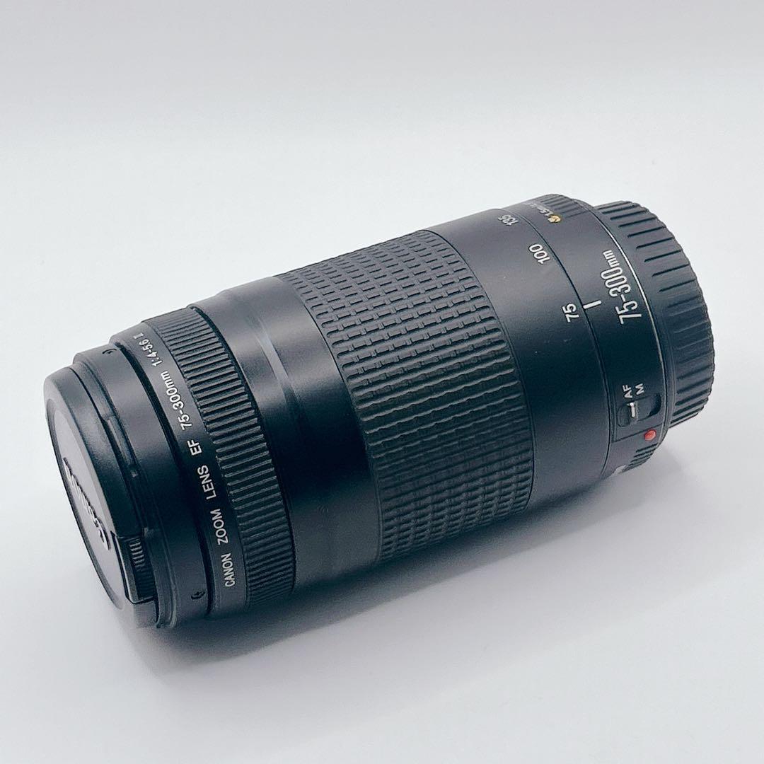 【美品】CANON 望遠レンズEF 75-300mm 1:4-5.6 Ⅱ