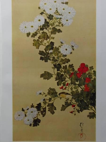 酒井抱一、花鳥十二ヵ月図 菊花小禽図、超希少・大判画集画