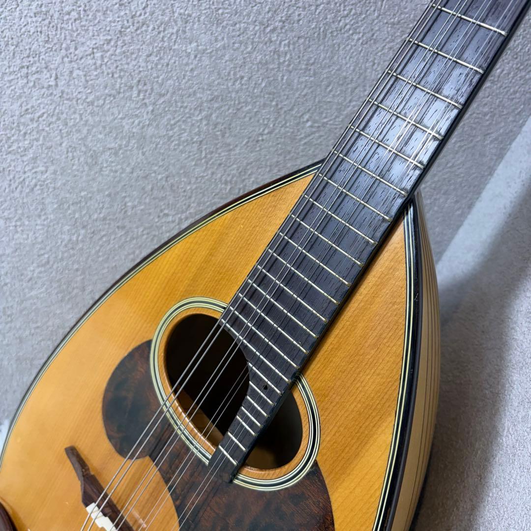 【極美品】SUZUKI マンドリン　M-30 ハードケース　スズキ