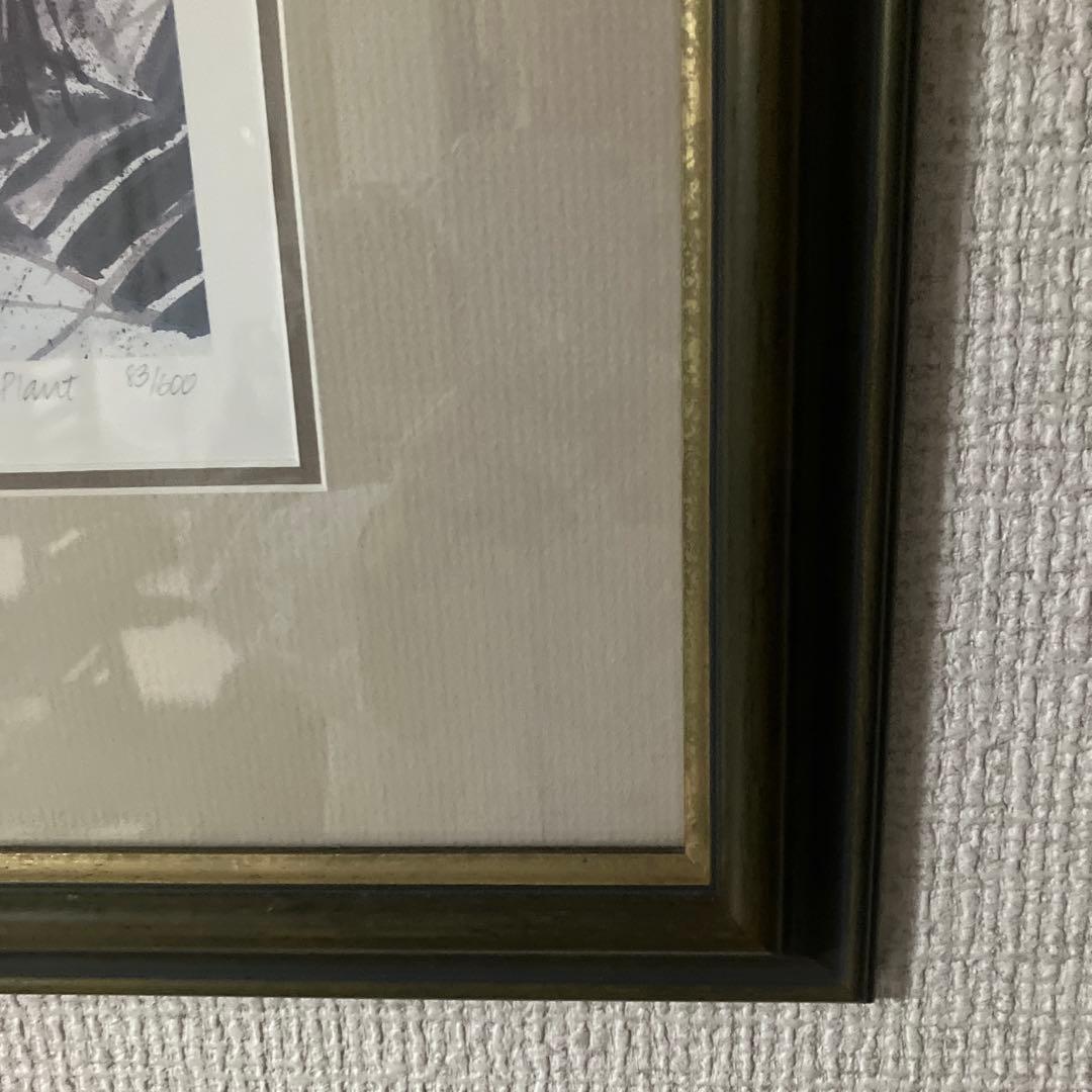 Miread M. Platt 水彩画 ジャングル植物