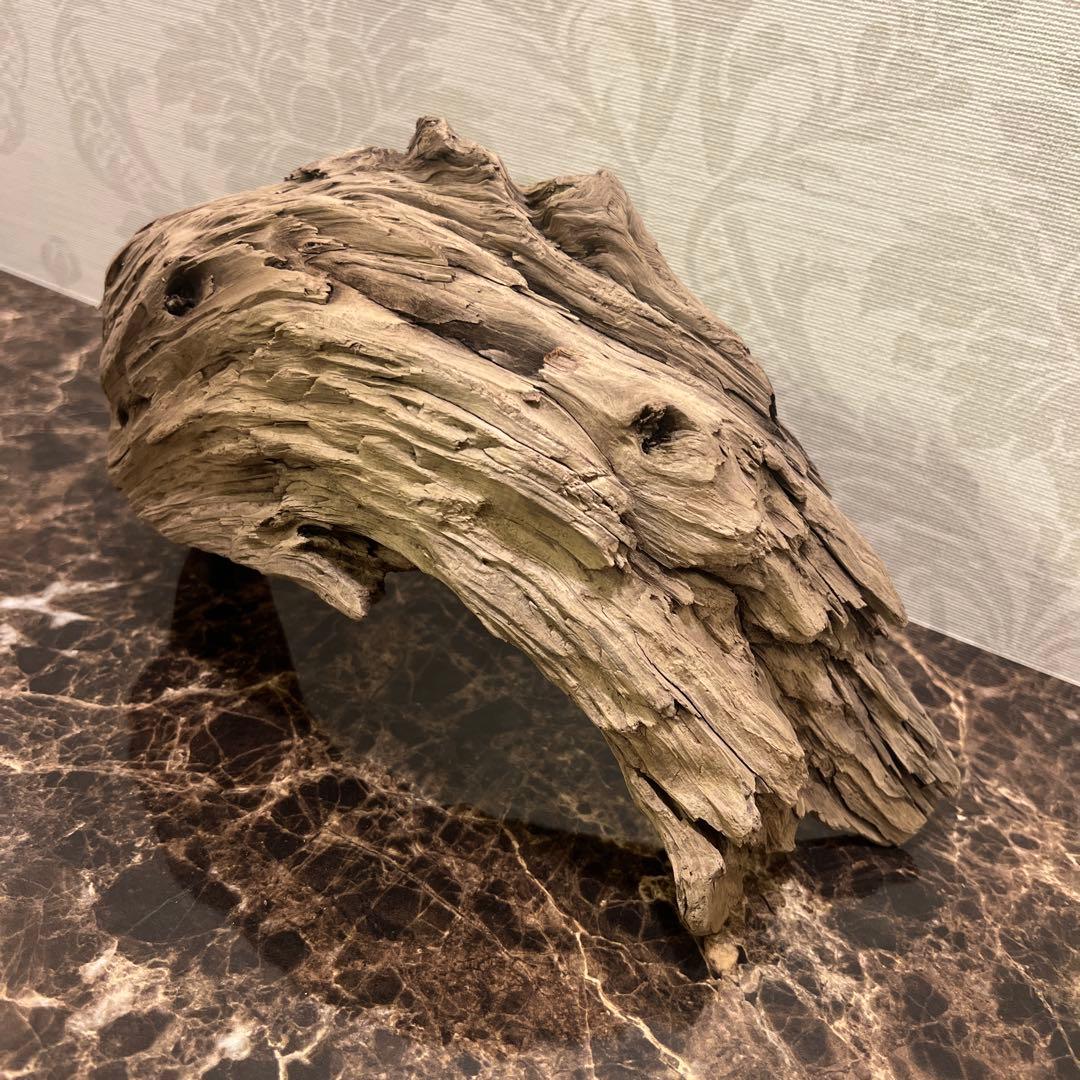 【コエポン】12点まとめ買い