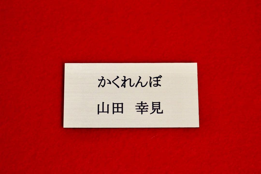 花乙女コレクション【山田幸見　かくれんぼ】購入金額より60％お値引き！！