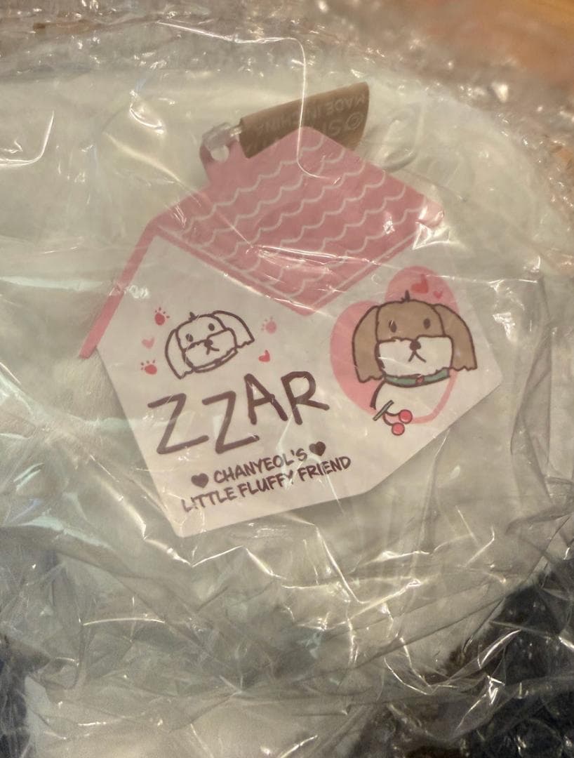 チャニョル City-scape 40CM DOLL ZZAR