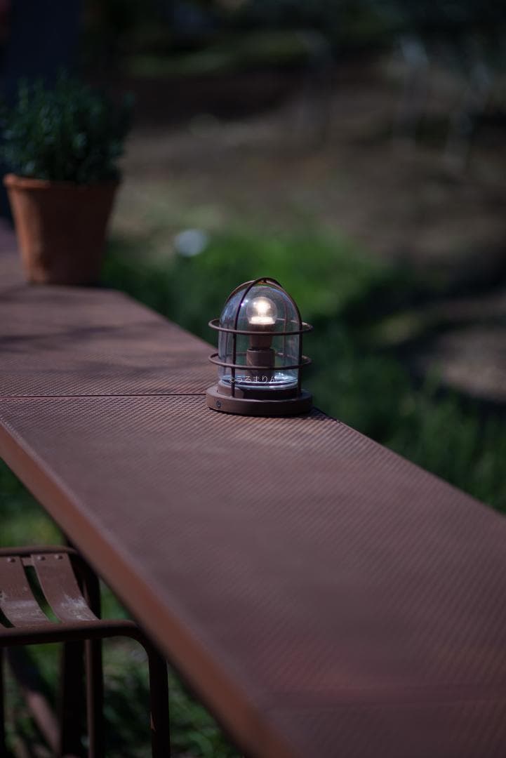 貴重な絶版マクロ！Zeiss Makro-Planar 100mm f2 ZF