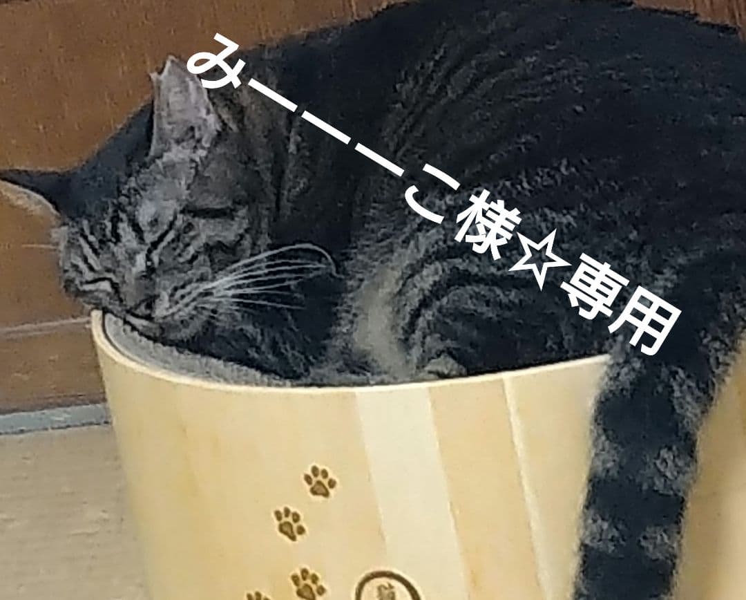 みーーーこ様☆専用