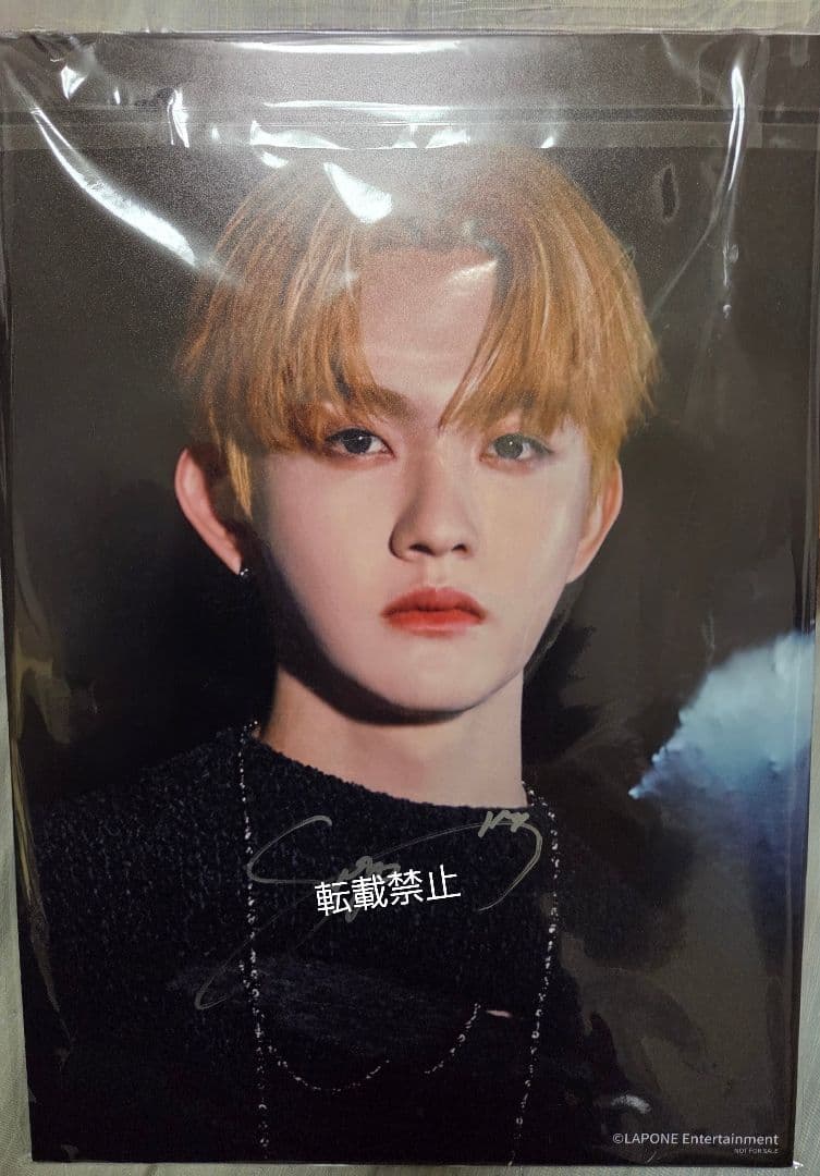 INI 田島将吾 渋谷 タワレコ 直筆サイン パネル THE FRAME