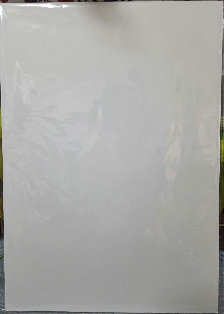 INI 田島将吾 渋谷 タワレコ 直筆サイン パネル THE FRAME