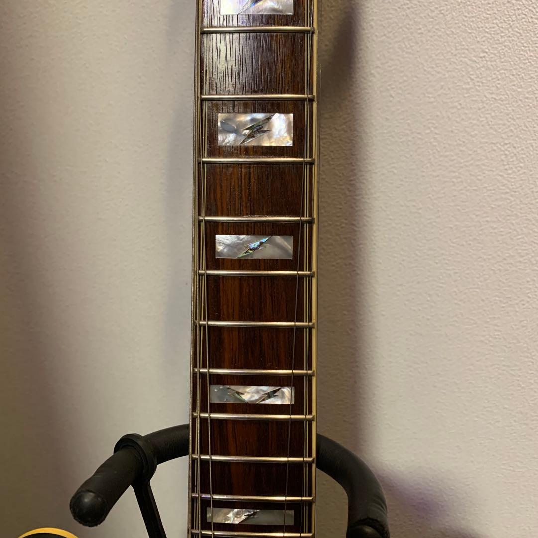 ギター Epiphone Emily Wolfe Sheraton Stealth