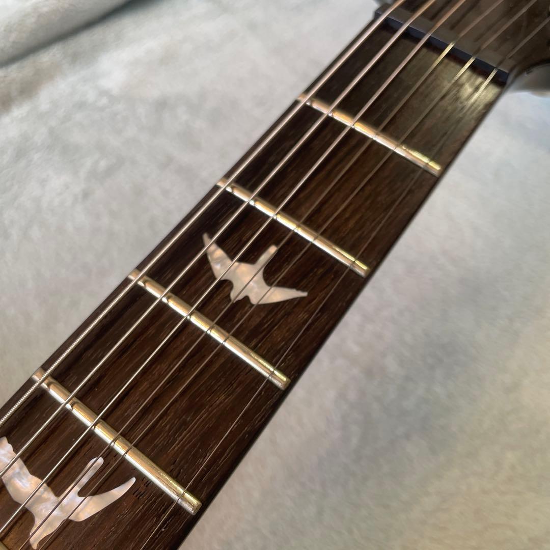 PRS SE Custom22, Skel-zoアンプセット