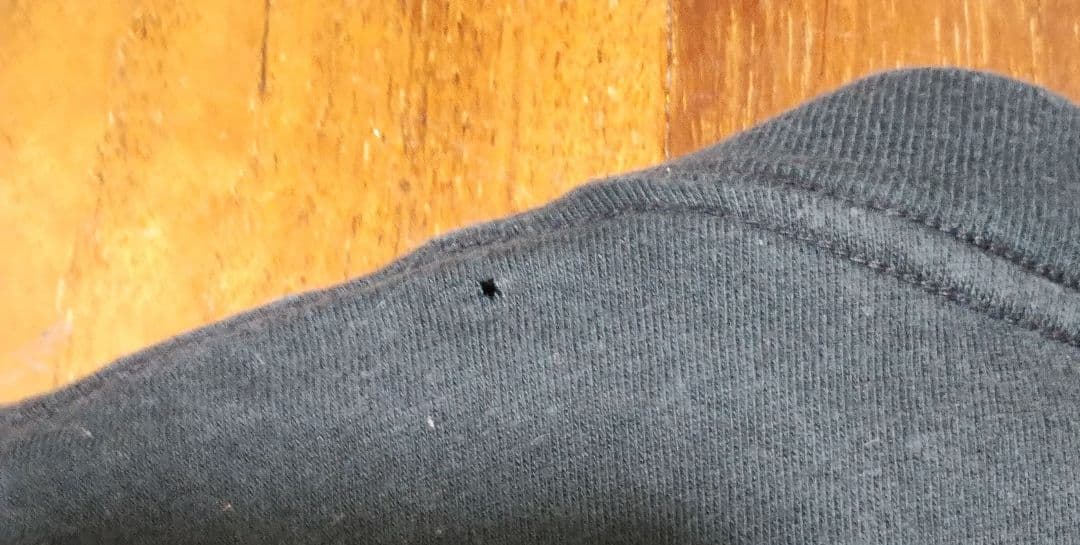 キムタク着用 エアロスミス パンプツアー'90 パスヘッド Tシャツ L