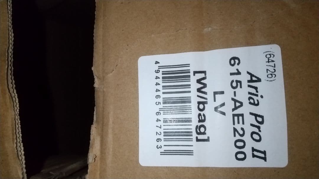 早い者勝ち！！テレキャスター ナッシュビルテレキャスター・アリアプロ2