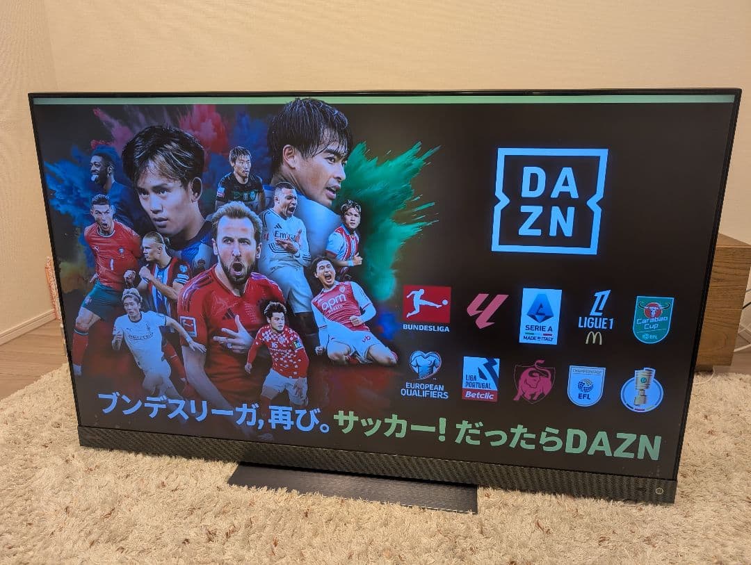 東芝 レグザ 55z740xs タイムシフトマシン 4TBハードディスク×2