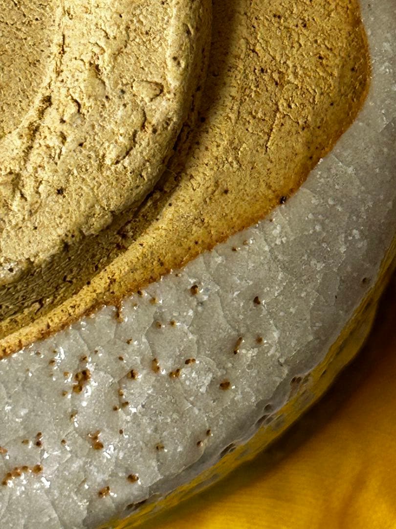 加藤 釥 作 志野 茶碗「桜」