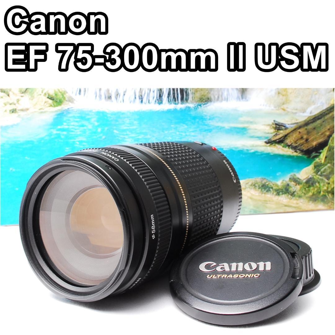 レンズ(ズーム) hirekatusand Canon EF 75-300mm