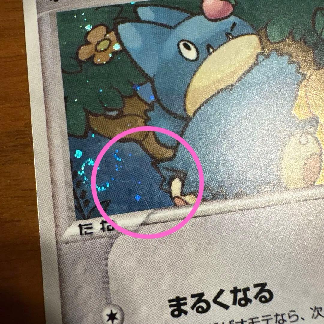 ポケパークのゴンベ ポケパークプレミアムファイル 008/009