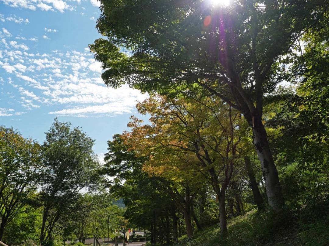 LUMIX GF2 VARIO 14-140mm 美品‼️