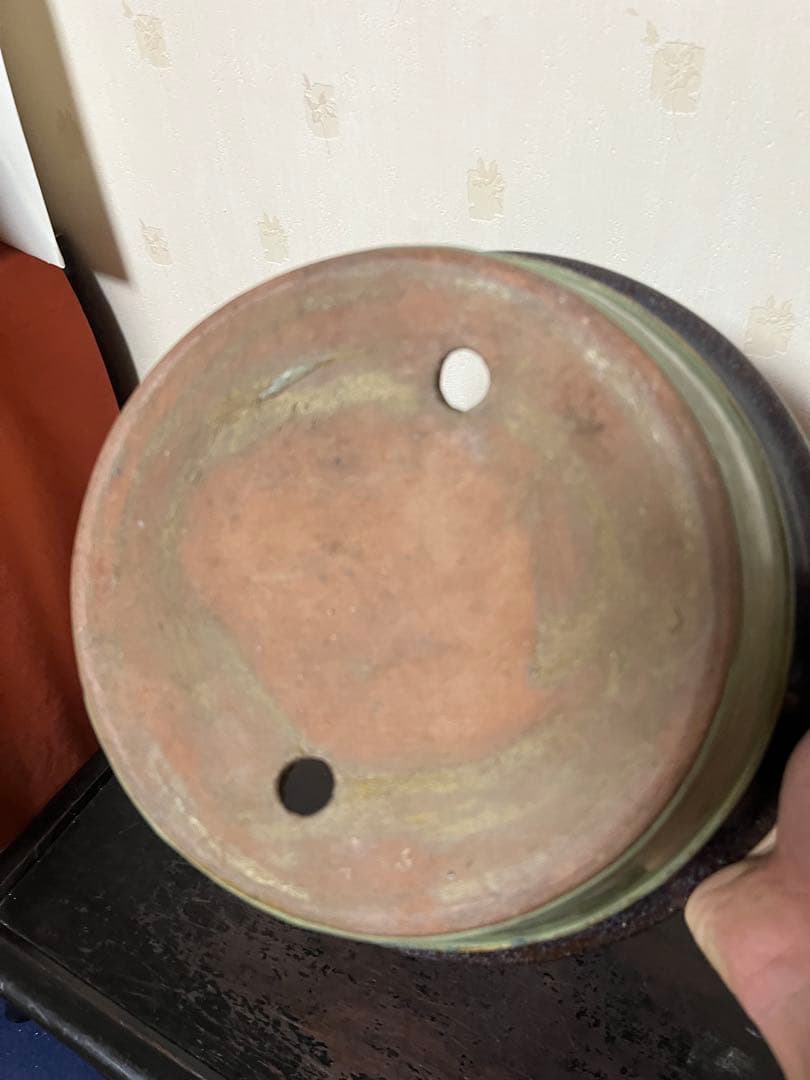 462 盆栽　盆栽鉢　植木鉢　中国鉢　海鼠　ナマコ