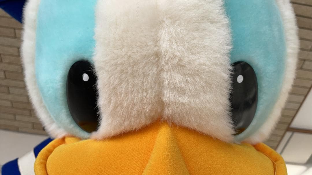 美品 ドナルドダック 超超特大ぬいぐるみ TDL Donald Duck