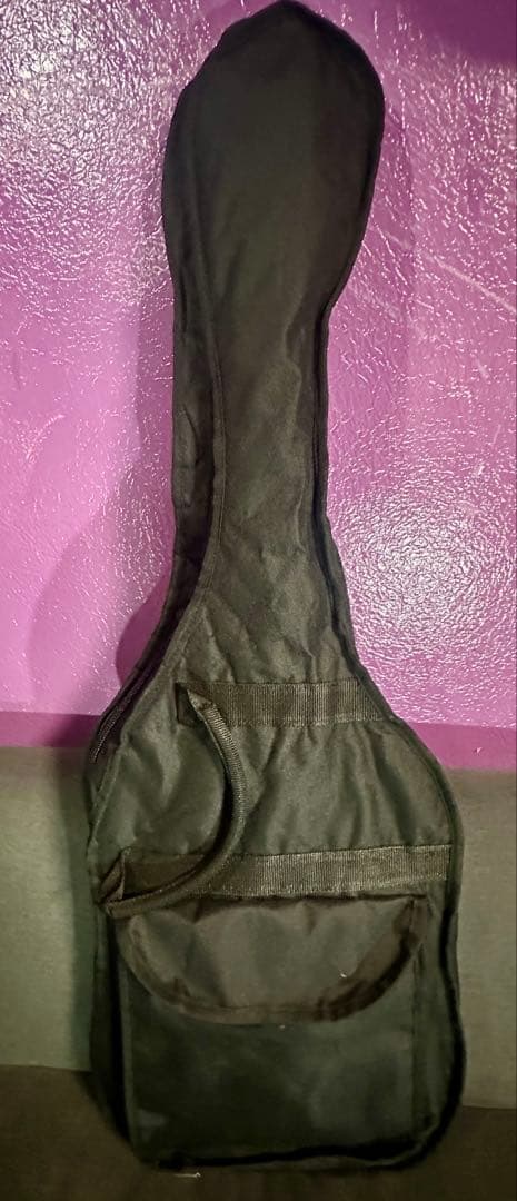 Gibson Maestro レスポール