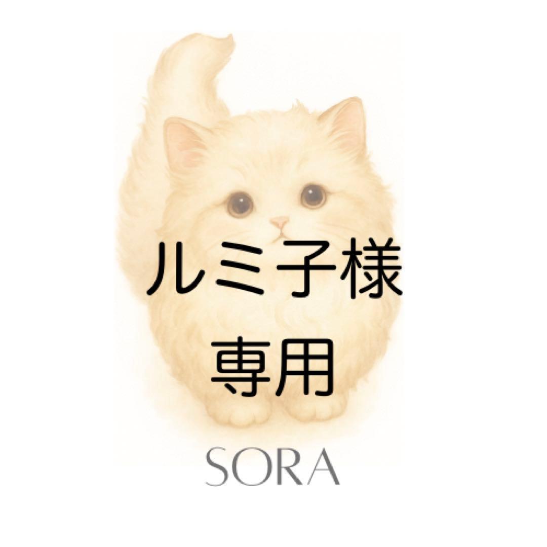 【ルミ子】　No.27プリンセス②×9セット