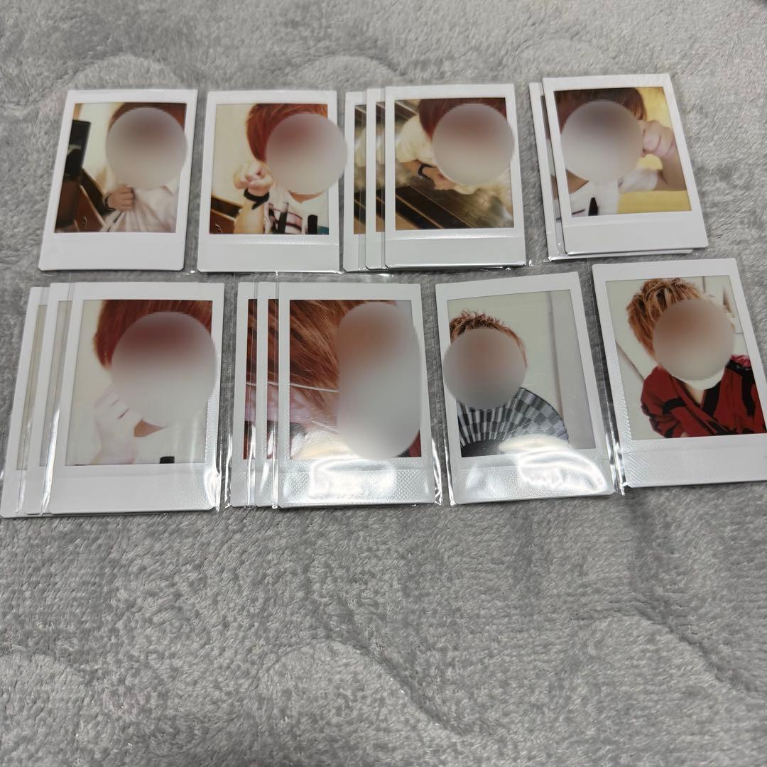 KnightA 騎士A KnightX 騎士X ばぁうくん チェキ④