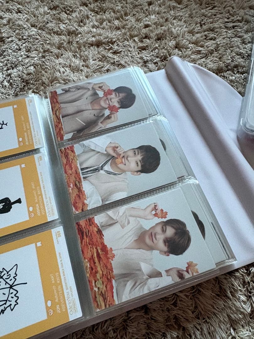 SEVENTEEN トレカ　ode to you コンプ　全員