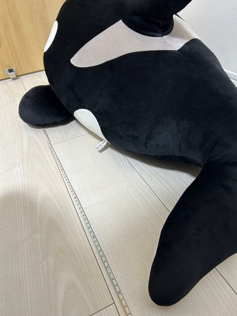 名古屋港水族館　限定　シャチ　巨大ぬいぐるみくじ特賞