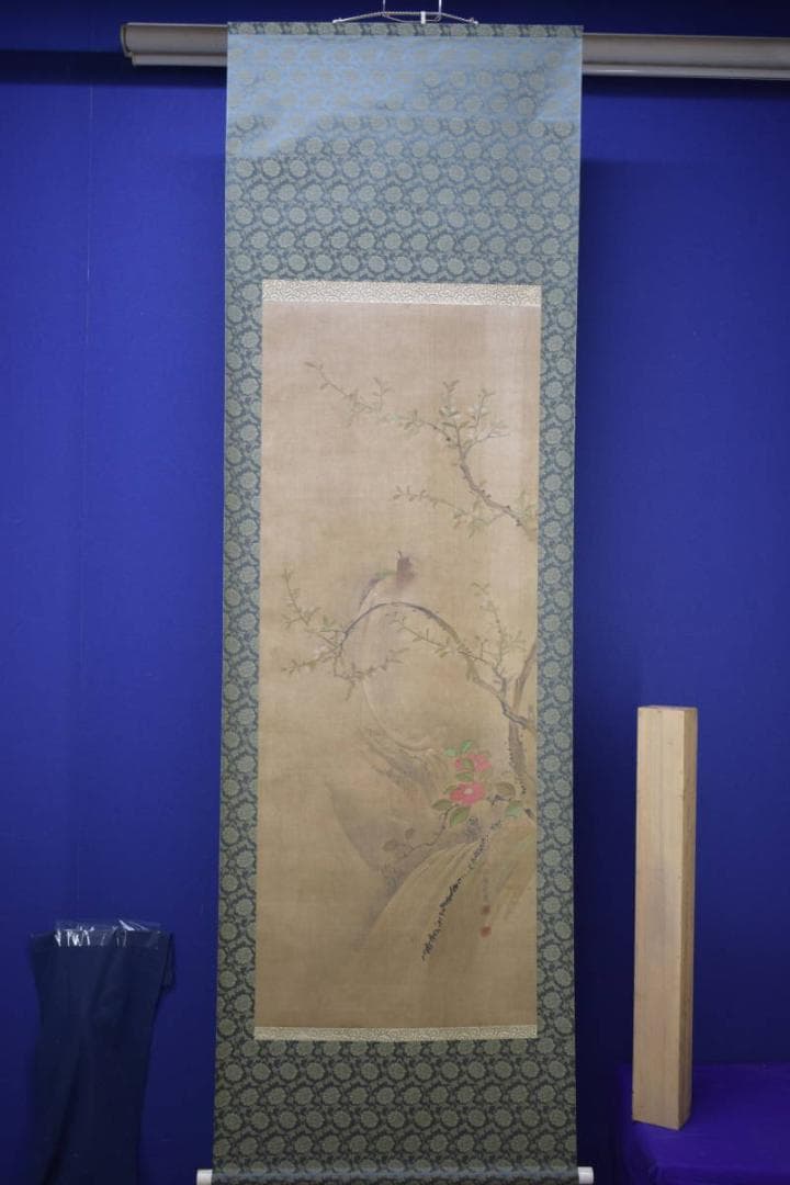 模写/熊代熊斐/椿に小禽図/布袋屋掛軸HI-946