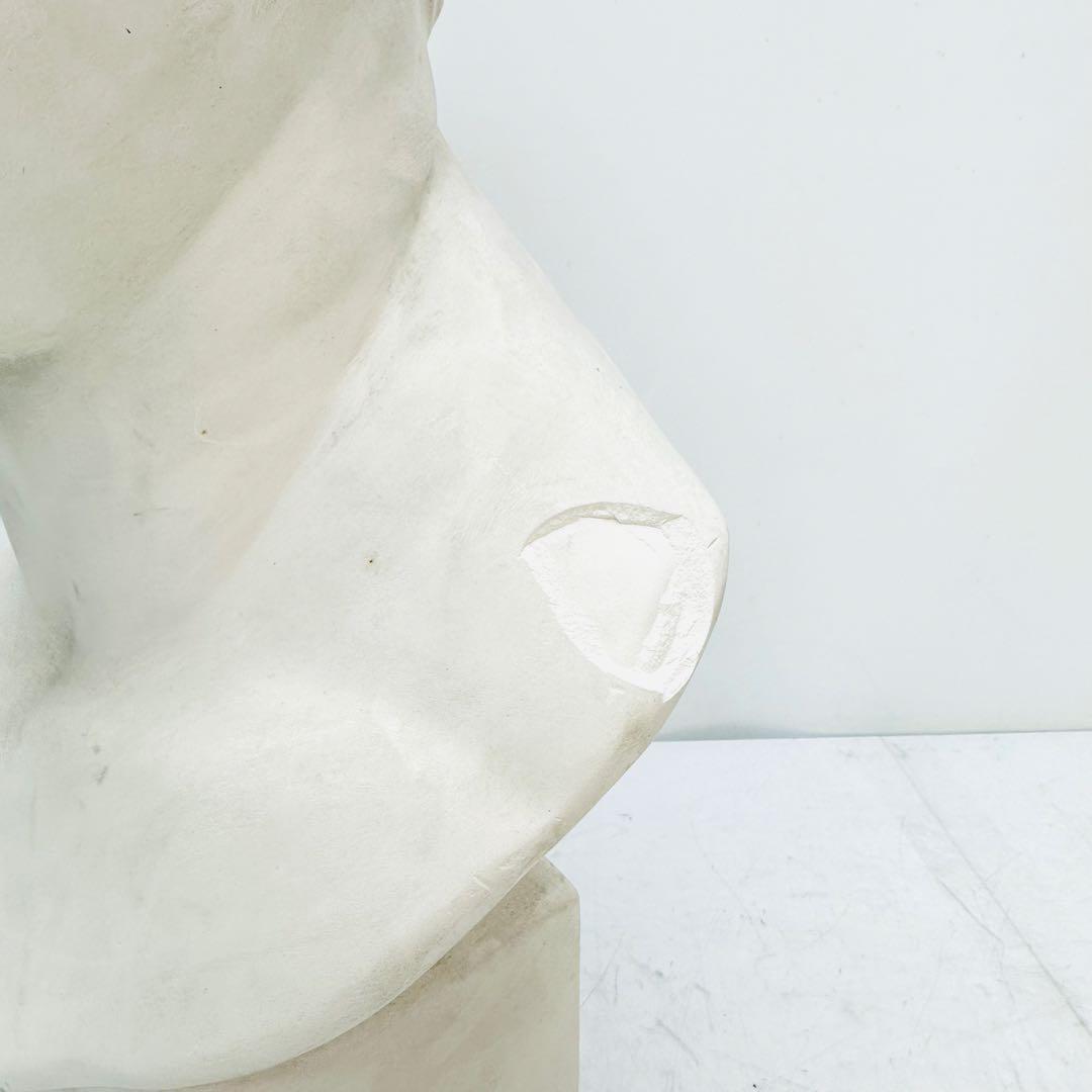 アグリッパ胸像　石膏像