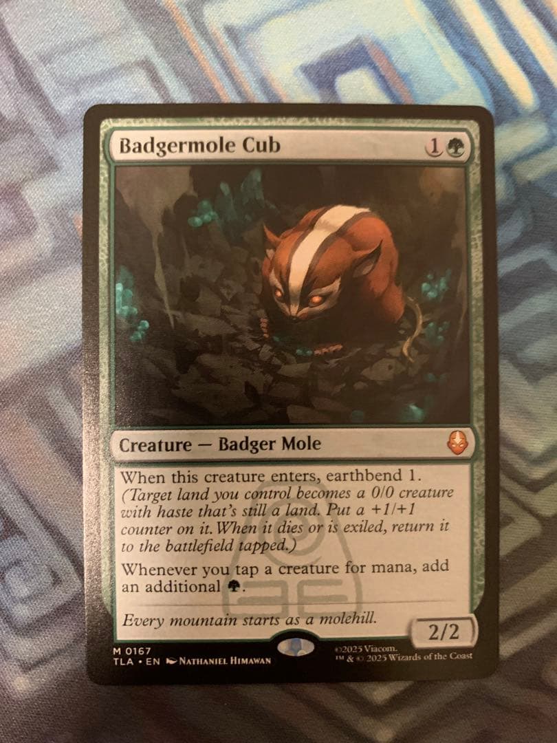 アナグマモグラの仔 英語版