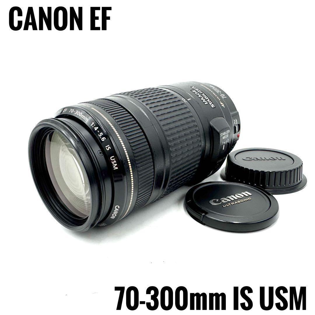Canon EF 70-300mm F4-5.6 IS USM 手ブレ補正付き
