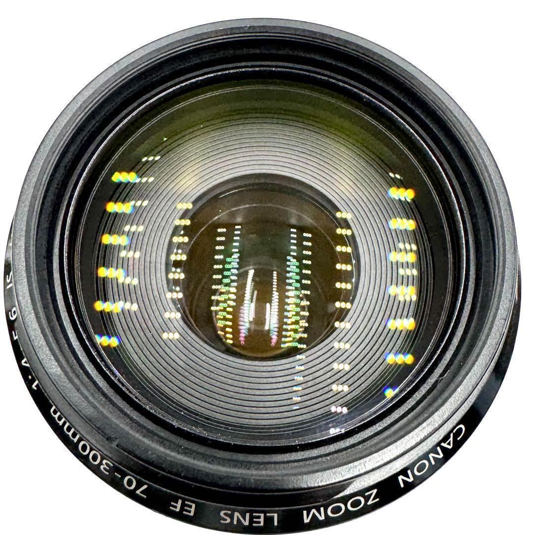 Canon EF 70-300mm F4-5.6 IS USM 手ブレ補正付き
