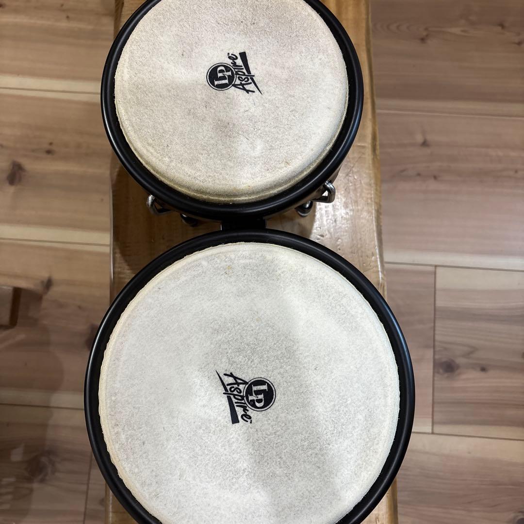 mondo♥　LP Aspire ボンゴ ダークウッド　美品