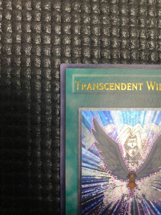 遊戯王　進化する翼　旧アジア版　レリーフ