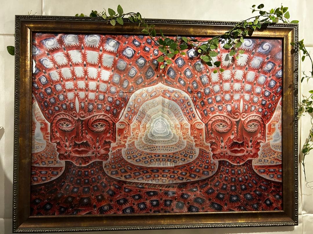 Alex grey約1メートル特大フレーム額縁付き