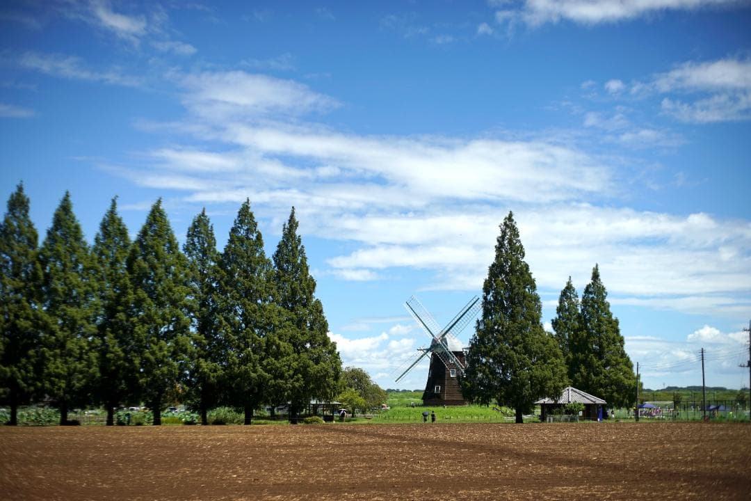 RICOH XR RIKENON 50mm f2 L Kマウント 整備済 完動品