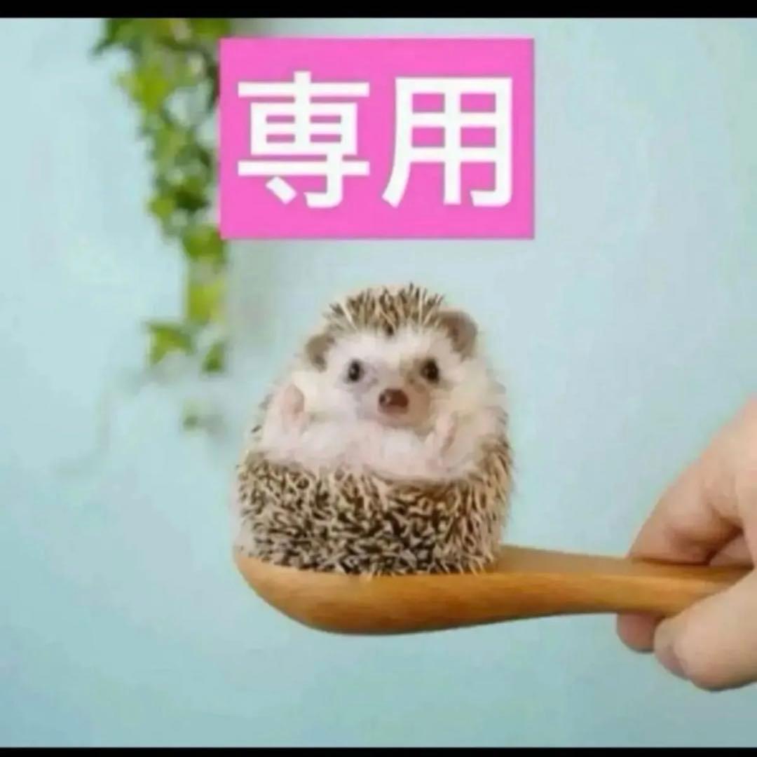 2点、コンシーラー1N、Rセラム