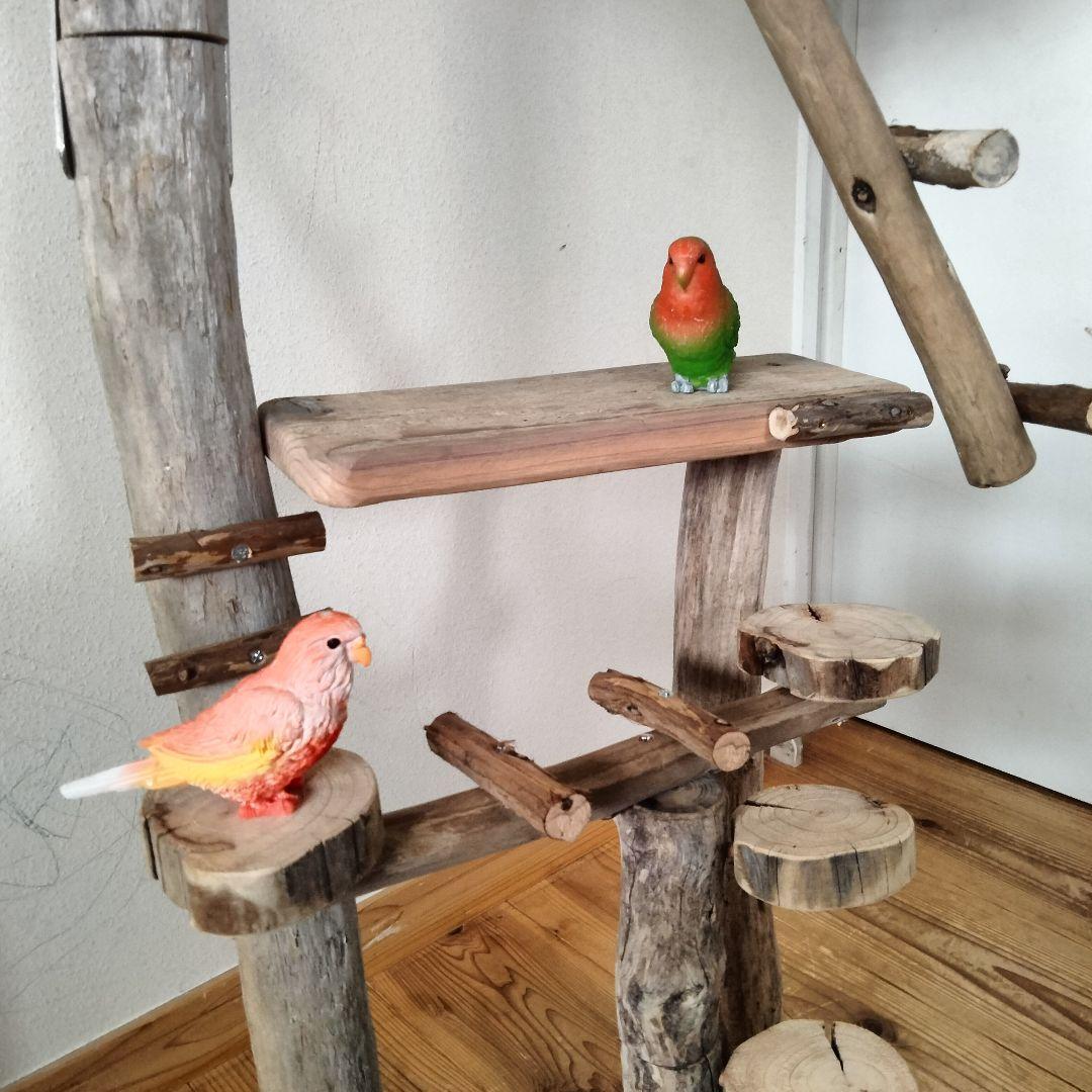 KT バードアスレチックジム大型 天然木 自然木 流木 止まり木 インコ