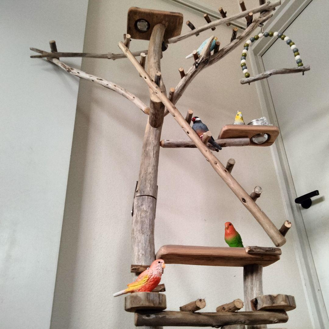 KT バードアスレチックジム大型 天然木 自然木 流木 止まり木 インコ