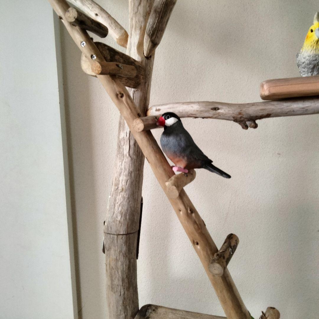 KT バードアスレチックジム大型 天然木 自然木 流木 止まり木 インコ