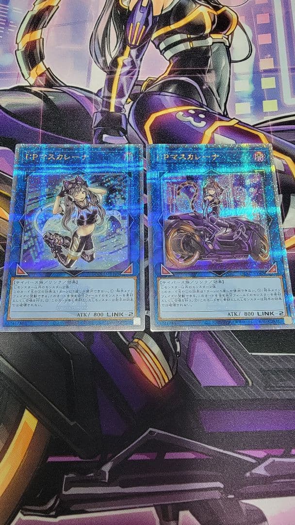 IPマスカレーナ 25th通常 絵違い2枚セット　クオシク イラスト違い