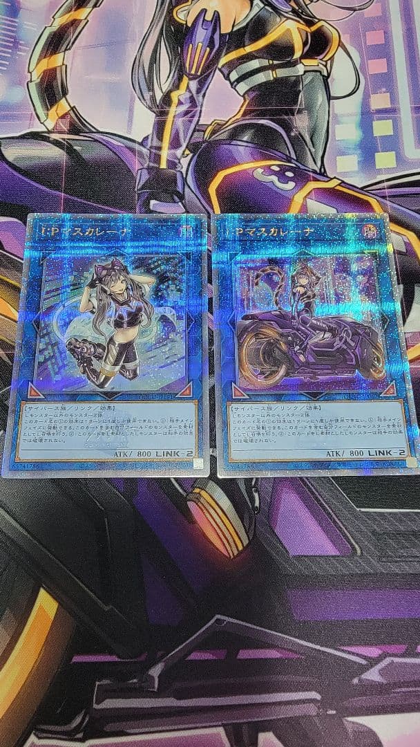 IPマスカレーナ 25th通常 絵違い2枚セット　クオシク イラスト違い