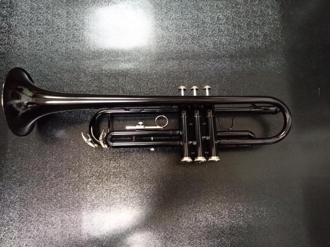 ￥29,180（税込）の品　Kaerntner トランペット KTR(ブラック)