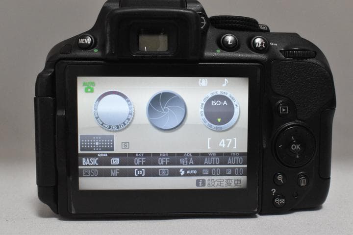 【元箱付き】ニコン Nikon D5300 デジタル一眼レフカメラ