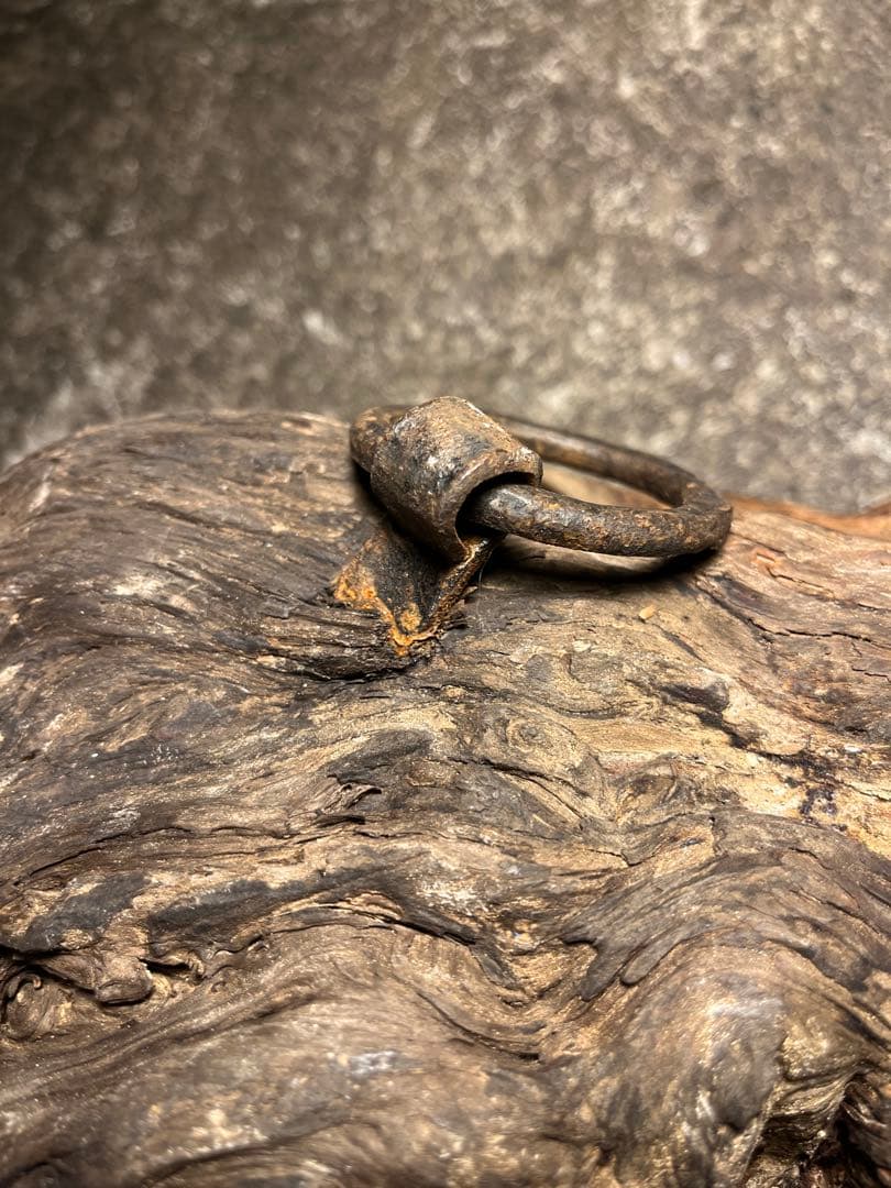 骨董　瘤杢　作者年代不明 価格応相談