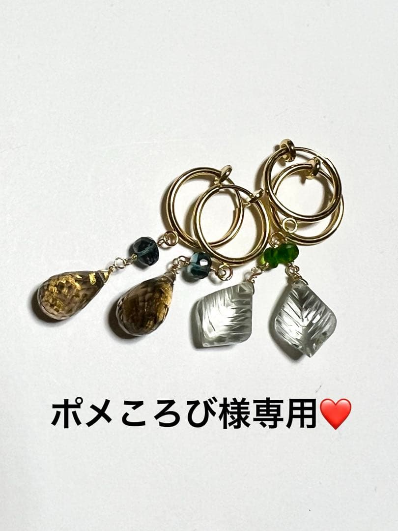 ポメころび❤️ サージカルフープイヤリング