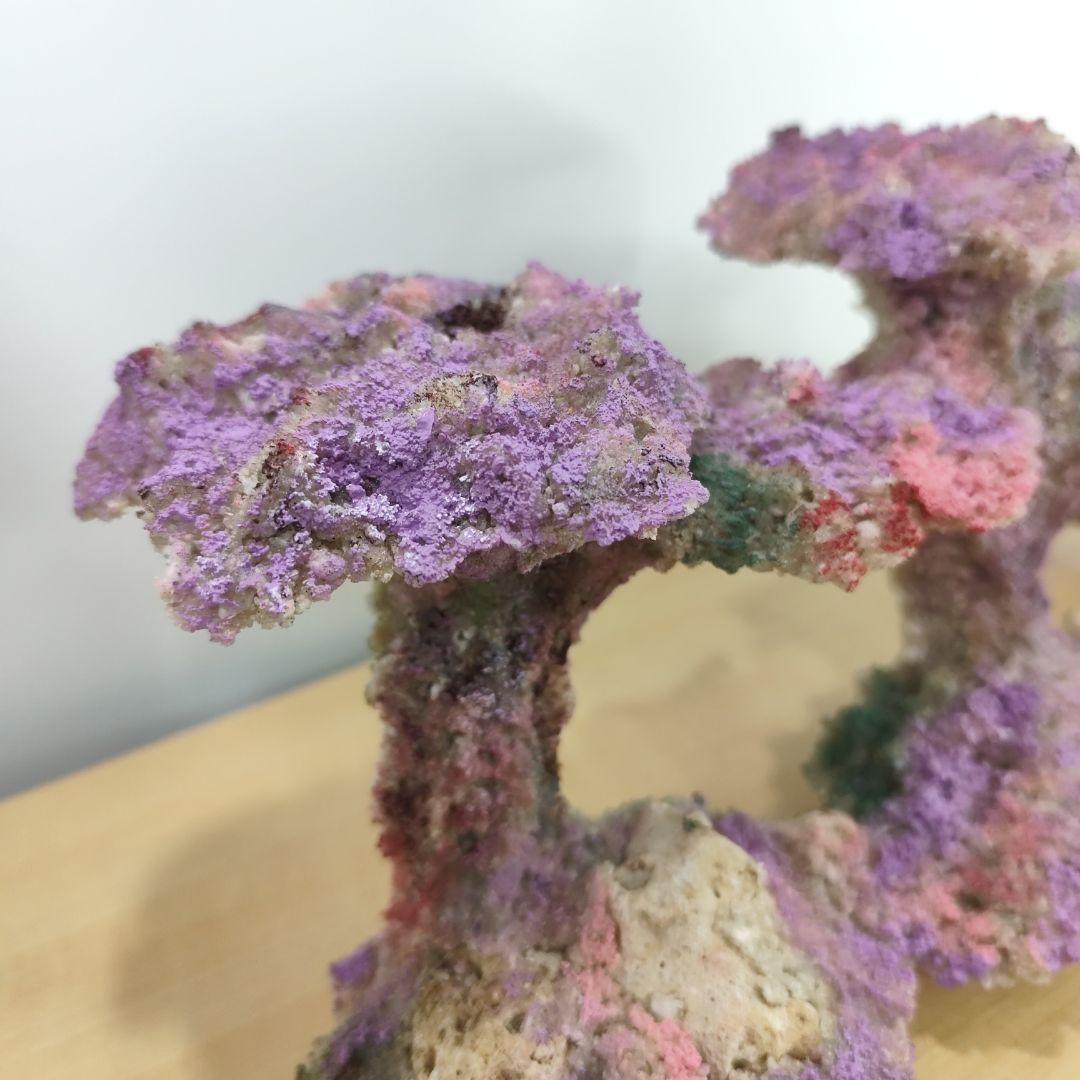 2個セット✐プラグ穴付き 新品 人工ライブロック 60cm海水水槽用 レプリカ