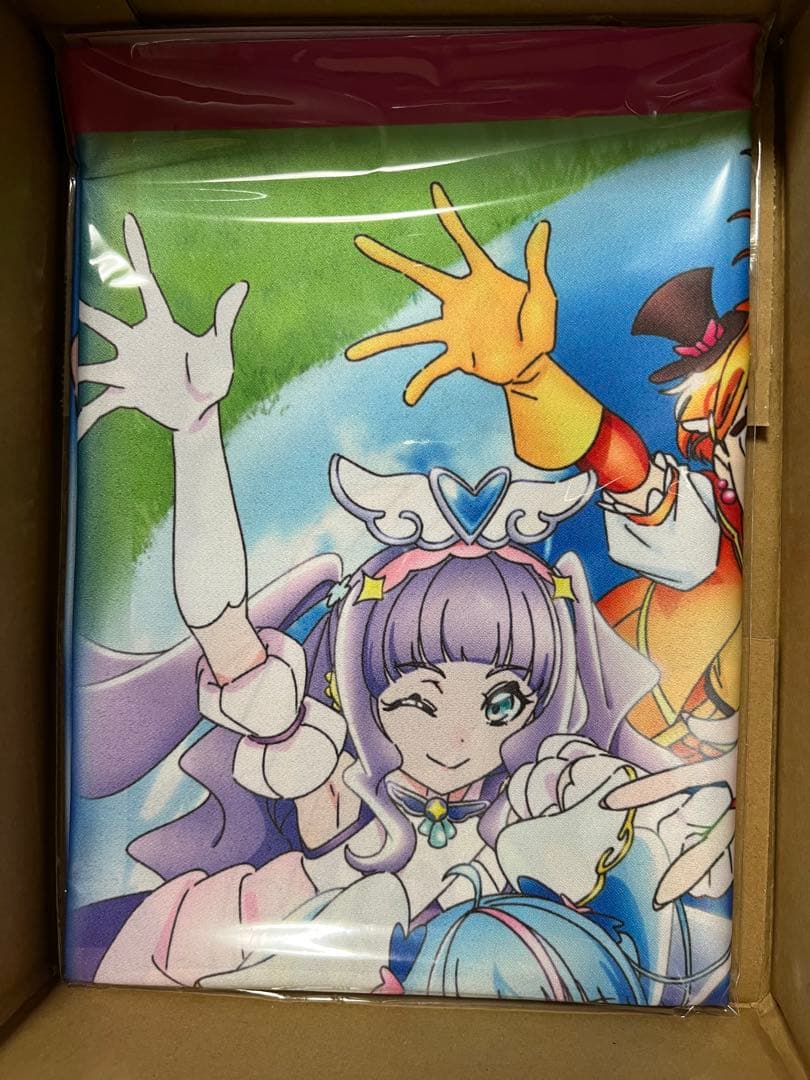 ひろがるスカイ！プリキュア B2布ポスター