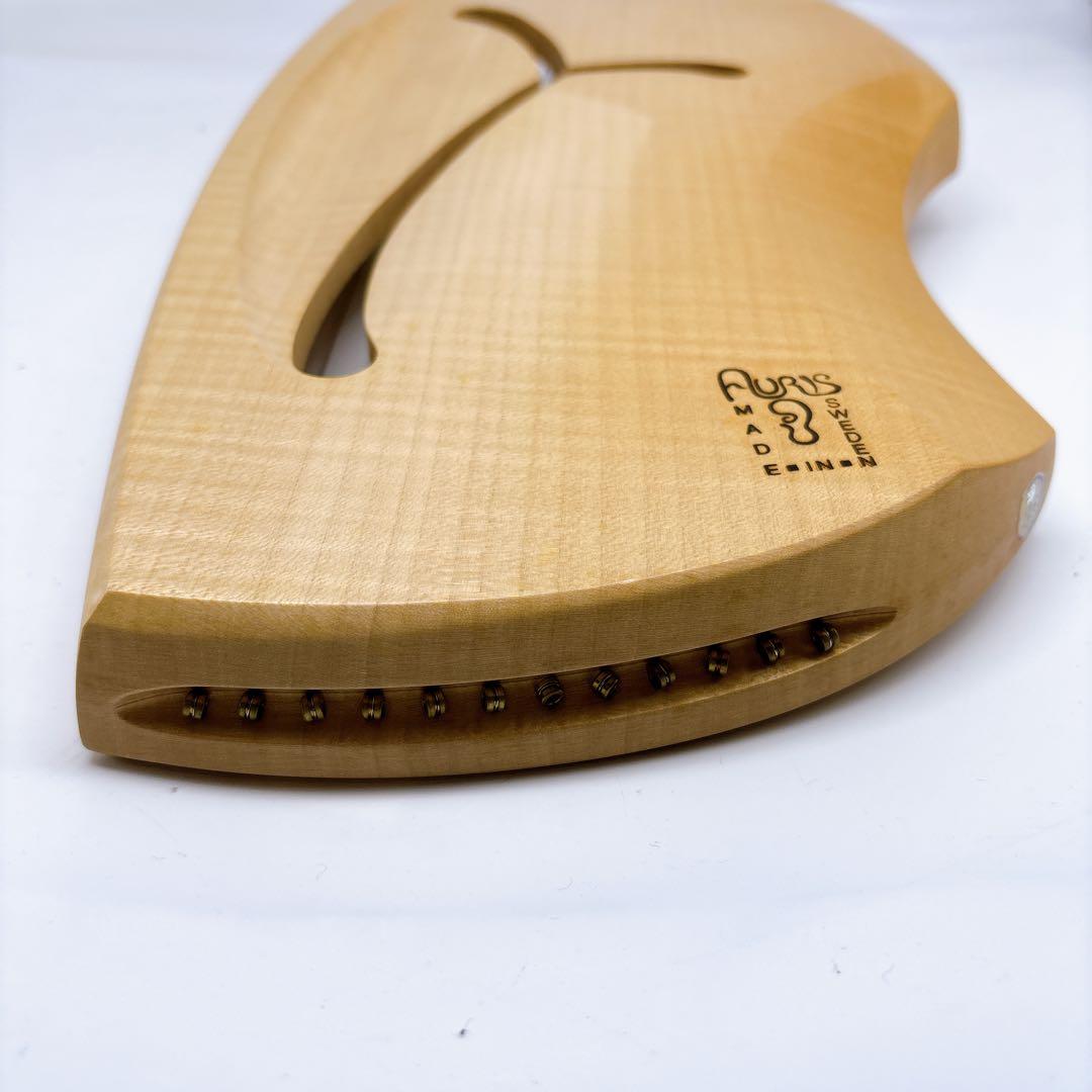 アウリス（AURIS）ライアーダイヤトニック１２弦