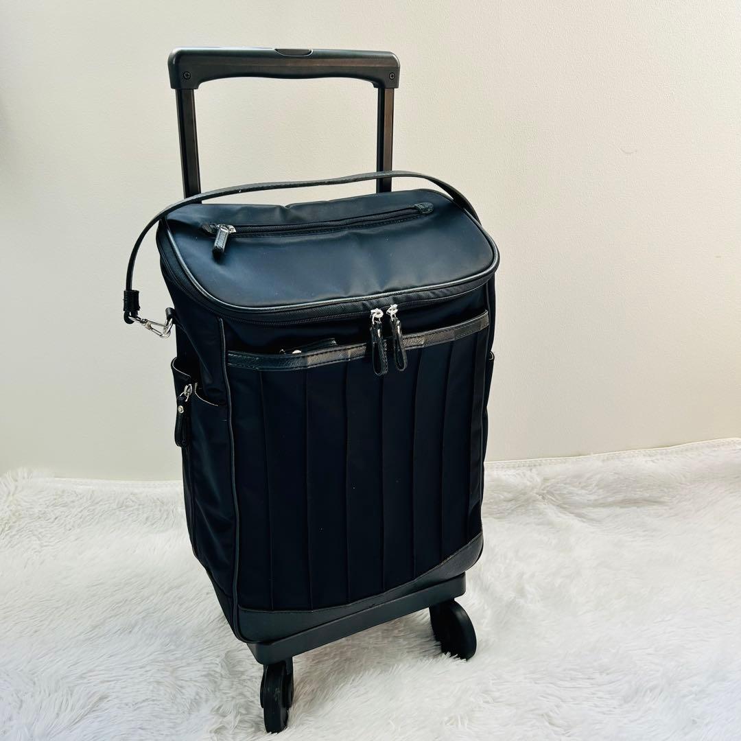 美品⭐︎スワニー キャリーバッグ リニーエ3 L21 ストッパー付 D-550
